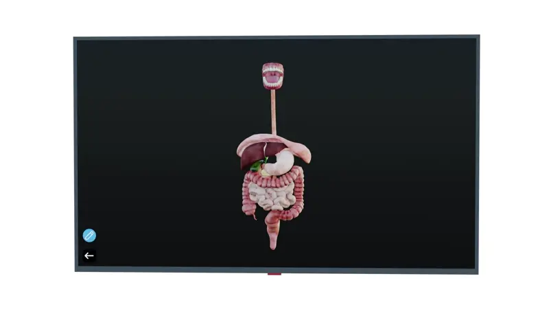 Immersive Learning Illustration showing AI-powered education technology